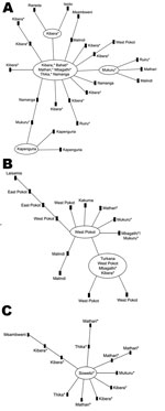 Thumbnail of Genetic relatedness of O1 Vibrio cholerae isolates from an outbreak of cholera, Kenya, January 2009–May 2010. The 3 largest clonal complexes are shown; smaller clonal complexes consisted of 2 or 3 genotypes. A) Clonal complex 1 was observed in each geographic/climatic region. B) Clonal complex 2 was detected in the Rift Valley (western part of the arid and semi-arid region) and in the coastal, lower eastern, and highland (primarily in informal settlements around Nairobi, represented