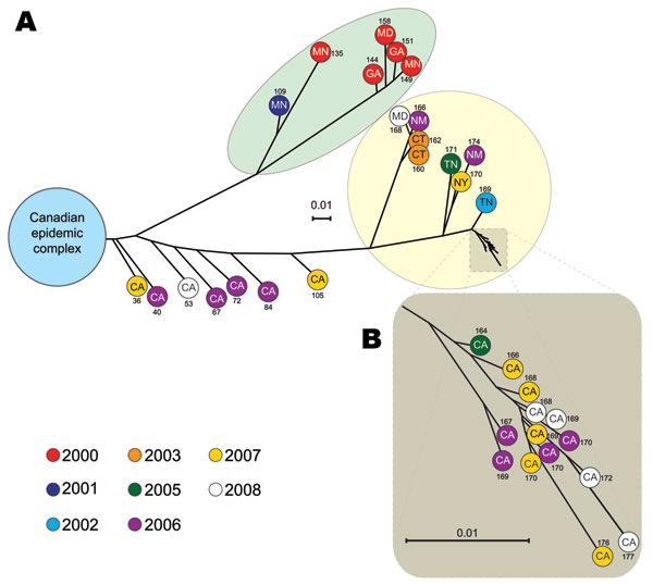 Inferred genetic relationships among 40 emm59 group A Streptococcus (GAS) strains isolated in the United States during 2000–2009, based on 635 concatenated single-nucleotide polymorphism (SNP) loci identified by whole-genome sequencing. A) Phylogenetic tree showing that most of the strains are genetically distinct from an emm59 GAS clone responsible for &gt;500 cases of invasive disease in Canada. Light green highlight indicates older (US) strains (isolated during 2000–2001) that form 1 clearly 