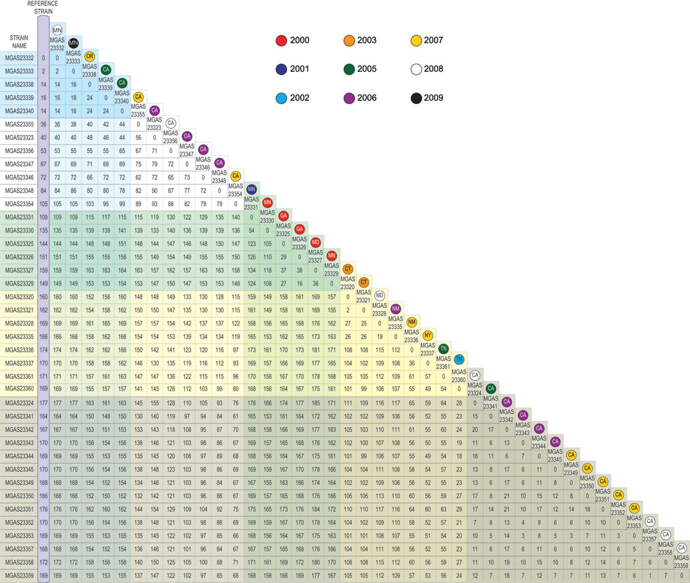 Matrix displaying total number of core genome single-nucleotide polymorphisms separating each individual strain from any other. State and year of isolation are provided for each individual strain. CA, California; CT, Connecticut; GA, Georgia; MD, Maryland; MN, Minnesota; NM, New Mexico; NY, New York; OR, Oregon; TN, Tennessee.