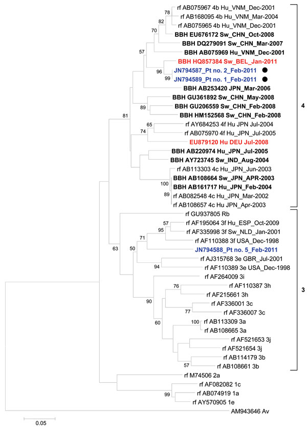 Phylogenetic tree based on partial (186 nt) sequence of the 5′ end of open reading frame 1 of the hepatitis E virus (HEV) genome (nt 133–318; GenBank accession no. AB291961). Boldface indicates sequence with the highest BLAST scores (http://blast.ncbi.nlm.nih.gov/Blast.cgi); red (italics) indicates sequences obtained from a swine in Belgium with HEV genotype 4 (8) and a human in Germany with autochthonous HEV infection (9); blue (underlining) indicates sequences obtained from humans in Marseille