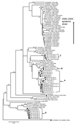 Thumbnail of Phylogenetic tree based on alignments of partial viral protein 1 gene sequences of echovirus 13 (EV13) constructed by the neighbor-joining method implemented in MEGA version 5.05 software (7) by using the Kimura-2 parameter nucleotide substitution model. Bootstrap analysis included 1,000 pseudoreplicate datasets. Clusters are labeled A, B, C, and D. Square indicates Uttar Pradesh EV13 from fecal samples. All Uttar Pradesh EV13 isolates on the tree are identified by using the same nu