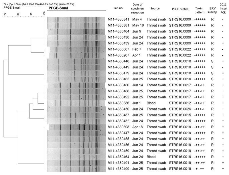 Pulsed-field gel electrophoresis patterns of 26 emm type 12.0 Streptococcus pyogenes strains, Hong Kong, 2011. Toxin profile results are shown as corresponding to the genes speA¸ speB, speC, speF, speH, and ssa. Strain M11–4380386 was from a fatal case. ERY suscep., erythromycin susceptibility result; R, resistant; S, susceptible. Scale bar indicates percent similarity.