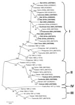 Thumbnail of Phylogenetic tree showing the relationship of dengue viruses, serotype 3, imported into Queensland, Australia, 2002–2010, based on sequencing of the envelope gene. Viruses are designated according to reported origin and GenBank accession number, and imported cases are shown in boldface. Genotypes are indicated on the right. Scale bar indicates nucleotide substitutions per site.