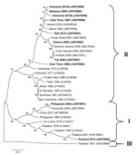 Thumbnail of Phylogenetic tree showing the relationship of dengue viruses, serotype 4, imported into Queensland, Australia, 2002–2010, based on sequencing of the envelope gene. Viruses are designated according to reported origin and GenBank accession number, and imported cases are shown in boldface. Genotypes are indicated on the right. Scale bar indicates nucleotide substitutions per site.