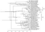 Thumbnail of Bayesian maximum credibility tree showing genealogy of rabies virus obtained by analyzing nucleotide sequences of full nucleoprotein (N) gene sequences (1,350 nt), Bangladesh, 2010. Nodes indicate the mean age at which they are separated from the most recent common ancestor, and white horizontal bars at nodes indicate 95% highest posterior density values of the most recent common ancestor. Numbers at the main nodes indicate posterior values. Scale bar indicates time scale in years s