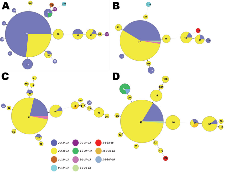 Figure 3  Population Diversity among Bordetella pertussis Isolates