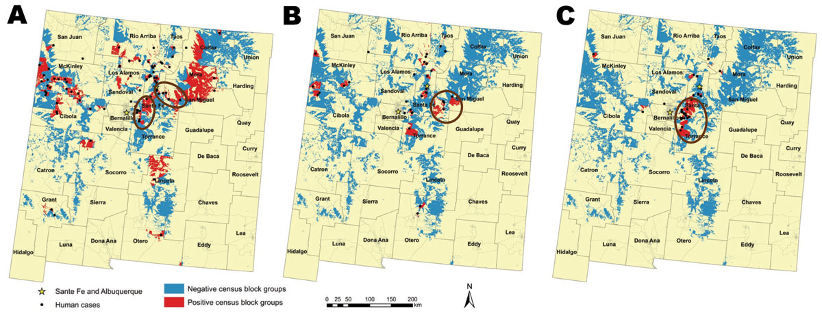 Areas of New Mexico, USA, considered in the current analysis on the basis of those defined as high risk for human plague by Eisen et al. (6) for each time frame examined. A) 1976–1985, B) 1986–1995, C) 1996–2007. Distributions of human cases are displayed and census block groups are color coded as negative or positive for plague cases. Census block group boundaries are indicated in light gray, and counties are outlined in dark gray. Ovals or circle indicate census block groups with significantly
