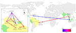 Thumbnail of Overview of spatiotemporal dispersal of dengue virus type 4 (DENV-4) from Southeast (SE) Asia to the Caribbean region and then to South America. Links between geographic locations represent phylogeny branches of the full genome maximum clade credibility tree, as projected by using SPREAD software (20). The blue-red gradient is coded to the arrows and depicts the relative time that has elapsed since the earliest inferred viral migration out of Southeast Asia (i.e., 1978, 95% Bayesian