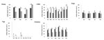 Thumbnail of Serum antibody detection rate in domestic animals from Laizhou and Penglai counties, China, April–November 2011. Severe fever with thrombocytopenia syndrome virus N protein-specific antibodies were detected by double-antigen sandwich ELISA in serum samples of sheep, cattle, dogs, pigs, and chickens collected from Laizhou and Penglai counties in different months, and the antibody detection rates are presented. Black bars indicate samples from Laizhou; gray bars indicate samples from 