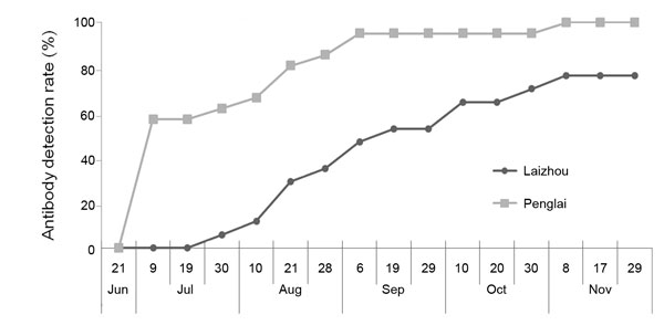 Detection of serum severe fever with thrombocytopenia syndrome virus (SFTSV) RNA and antibodies in a cohort of 38 sheep, China. Serum samples in a cohort of 38 sheep were collected from Laizhou and Penglai on the dates indicated on the x-axis from June 21 through November 29, 2011. SFTSV N protein–specific antibodies were measured by using a double-antigen sandwich ELISA, and the cumulative positive percentage in Laizhou and Penglai counties is presented along the timeline. 