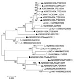 Thumbnail of Phylogenetic analysis of severe fever with thrombocytopenia syndrome virus (SFTSV) isolates from domesticated animals. The evolutionary relationship of small segments of SFTSV isolated from domesticated animals, SFTS patients and ticks was calculated by using the neighbor-joining method with MEGA 5 (8). Sequences are labeled with the order of GenBank accession number/name of viral strain/year of isolation. Black circles indicate the original sequences of SFTSV strains obtained from 