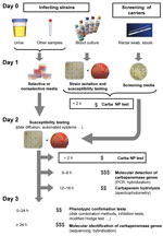 Thumbnail of Strategy for identification of carbapenemase-producing Enterobacteriaceae. The time needed to perform the test is indicated before each test. The number of flasks indicates the degree of specialization needed to perform the test; the number of $ indicates the relative cost of each test.