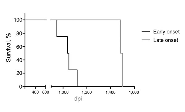 Survival of intracerebrally BSE-infected cynomolgus macaques. Six age- and sex-matched cynomolgus macaques were inoculated intracerebrally with 50 mg brain homogenate (10% in sucrose) derived from 11 BSE-infected cattle. Macaques were euthanized at severe signs of neurodegenerative disease. The animals were grouped according to early (&lt;1,200 dpi, n = 4) or late (&gt;1,200 dpi, n = 2) onset of disease. The respective survival curves were compared by using a log-rank test (Mantel-Cox, p&lt;0.05