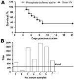 Thumbnail of Seroconversion and percentage survival of chickens experimentally infected with infectious bronchitis virus (IBV), People’s Republic of China. A) Survival of chickens after inoculation with IBV YN strain. B) Detection of IBV antibodies by ELISA at 21 days postinoculation. Cutoff titer = 396.