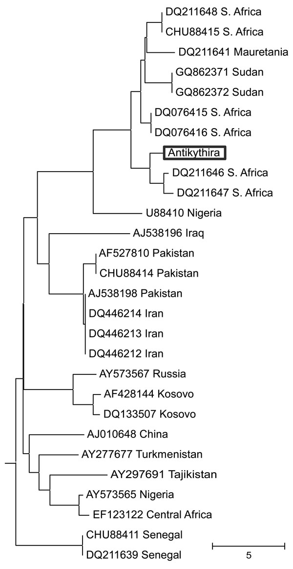 Neighbor-joining tree of Crimean-Congo hemorrhagic fever virus small segment sequences retrieved from GenBank and the novel 127-bp sequence isolated in this study (boxed). The tree is drawn to scale, with branch lengths in the same units as those of the evolutionary distances used to infer the phylogenetic tree. A total of 127 positions were in the final dataset. Trees generated with maximum-likelihood and maximum-parsimony methods (not shown) exhibited nearly identical topology to this tree. Th