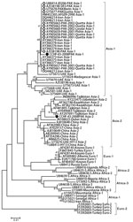 Thumbnail of Phylogenetic analysis of partial small gene fragment (220 bp) obtained from Crimean-Congo hemorrhagic fever virus strains analyzed in this study (black circles). Reference strains belong to different genogroups as retrieved from GenBank. Diamonds indicate virus sequences previously reported from Pakistan. Evolutionary tree and distances (scale bar indicates number of base substitutions per site) were generated with the maximum composite likelihood method with Kimura-2 parameter dist