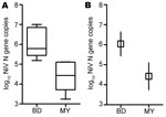 Thumbnail of Oral shedding of Nipah virus (NiV) in experimentally infected ferrets. A) Results of viral RNA area under the curve (AUC) calculation. Lower margin, inner line, and upper margin of the boxes represent 25th percentiles, medians, and 75th percentiles, respectively. Whiskers show maximum and minimum values for each group. B) Comparison of mean AUC between NiV-Bangladesh and NiV-Malaysia. Mean AUC for the NiV-Bangladesh infection group was significantly higher than that for the NiV-Mala