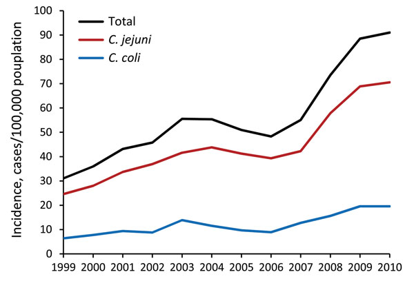 Annual incidence trends of laboratory-confirmed Campylobacter spp. infection, by species, Israel, 1999–2010.