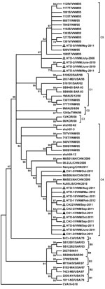 Thumbnail of Phylogenetic tree of enterovirus 71 viral protein 1 constructed by MEGA4 (www.megasoftware.net) with neighbor-joining method showing the relationship of 18 local sequences from 2010 and 2011 (triangles). Sequence names consist of the following information: the hospital at which the sample was obtained (HTD, Hospital for Tropical Diseases; CH1, Children’s Hospital 1; CH2, Children’s Hospital 2 (all from Ho Chi Minh City, Vietnam]); number in chronologic order/VNM for Vietnam/date (mo