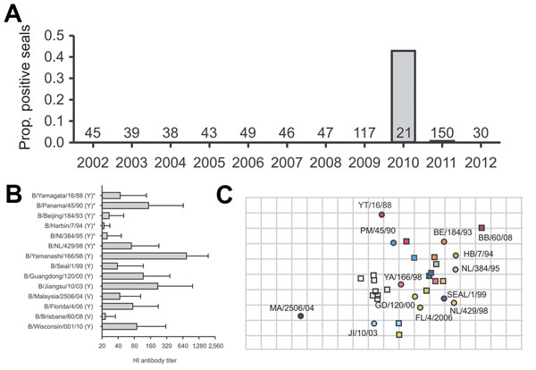 Serologic evidence of influenza B virus in seals, the Netherlands, 2002–2012. A) Proportion (prop.) of serum samples for each year shown that were positive for influenza B virus antibodies. The number above the year represents the serum samples tested for that year. B) Mean hemagglutination inhibition (HI) antibody titers (±SD) of tested positive serum samples against different influenza B strains belonging to either the Yamagata (Y) or Victoria lineage (V). Asterisk indicates that only 8 of 10 