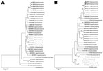Thumbnail of Phylogenetic trees based on partial open reading frame (ORF) sequences of the hepatitis E virus monophyletic strain involved in an outbreak in Lazio, Italy, March–April 2011. A) ORF1, 172 nt. Sequences from the outbreak in Italy could not be submitted to GenBank, being &lt;200 nt long; they are available on request from the authors. B) ORF2, 411 nt. The ORF 2 sequence (identical in all 5 patients) described in this panel was submitted to GenBank (accession no. JX401928). Neighbor-jo