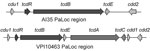 Thumbnail of Structure of pathogenicity locus (PaLoc) and flanking regions in Clostridium difficile strains AI35 and VPI10463. Boxes indicate open reading frames; arrows indicate direction of transcription. Encoded genes are indicated above the arrows. Figure not drawn to scale.