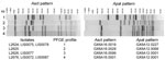 Thumbnail of Four AscI and 4 ApaI pulsed-field gel electrophoresis (PFGE) profiles (identified at the time the research was performed) displayed by Listeria monocytogenes clinical isolates (L2624, L2625, L2626, and L2676) and isolates from food or environmental samples (LIS0072, LIS0075, LIS0077, LIS0078, and LIS0087) associated with the 2011 listeriosis outbreak traced to cantaloupe. PFGE profiles 3 and 4 differ by ≈40-kb shift in 1 band in the AscI pattern, likely related to the loss or acquis