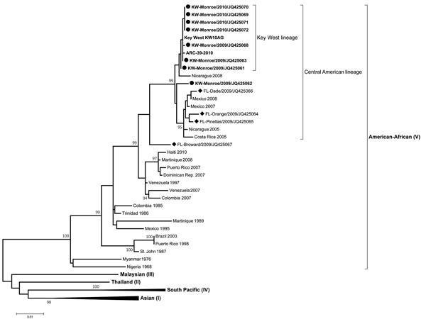 Maximum-likelihood phylogenetic tree of dengue virus type 1, including isolates from Key West, Florida, USA, and representative isolates from 5 genotypes with global geographic distribution. Solid circles, 8 Key West viruses (Monroe County) isolated during 2009–2010; solid diamonds, isolates from other Florida counties (Dade, Pinellas, Orange, and Broward Counties). Scale bar indicates nucleotide substitutions per site. Each taxon represents a single virus isolate and is labeled with the geograp