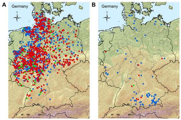 PCR-confirmed cases of Schmallenberg virus infections in Germany in A) cattle (blue dots, 791), sheep (red dots, 860), and goat holdings (green dots, 47) from August 1, 2012, to May, 31, 2012; and B) cattle (blue dots, 82), sheep (red dots, 8), and goat holdings (green dot, 1) from June, 1, 2012, to October, 31, 2012. 