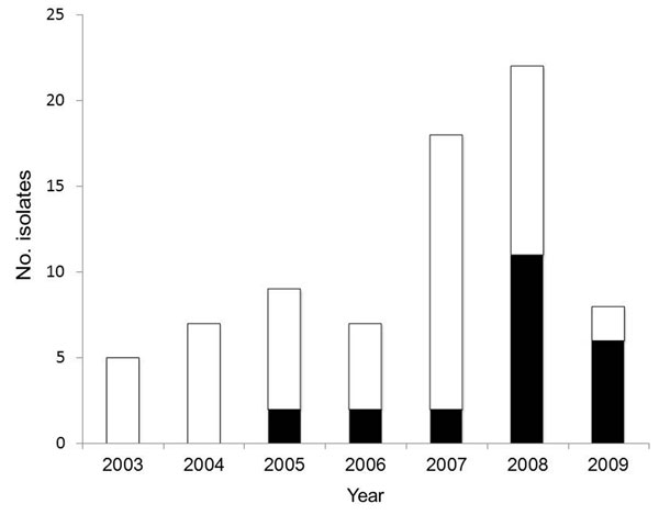 Salmonella enterica serovar Kentucky isolates identified in Canada, 2003–2009. Black bars indicate ciprofloxacin-resistant isolates, and white bars indicate non–ciprofloxacin-resistant isolates.