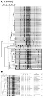 Thumbnail of Dendrograms of macrorestriction fragments of all (A) and ciprofloxacin-resistant (B) Salmonella enterica serovar Kentucky isolates identified in Canada, 2003–2009. The dotted vertical line in panel A indicates a cutoff value of 80% similarity, and the box indicates ciprofloxacin-resistant isolates. Left end and Right end in panel B indicate PCR results for presence (Pos) or absence (Neg) of left and right junctions of Salmonella genomic island 1. PFGE, pulsed-field gel electrophores