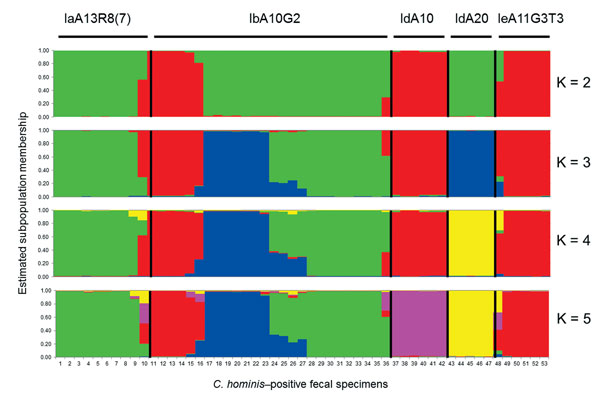 Relationship among various 60-kDa glycoprotein gene subtypes of Cryptosporidium hominis by substructure analysis. Predicted population numbers K = 2–5 were applied in STRUCTURE version 2.2 (http://pritch.bsd.uchicago.edu/structure.html) analysis of the data. Colored regions indicate major ancestral contributions. Mixed genotypes are indicated by the pattern of color combinations. Values along the baseline indicate C. hominis–positive fecal specimens.