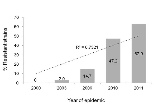 Increased prevalence of macrolide resistance of Mycoplasma pneumoniae strains isolated from children during epidemics of lower respiratory tract infections, South Korea, 2000–2011. During the 2000 epidemic, 0 of 30 strains were resistant, but during the epidemics of 2003 and 2006, 1 of 34 and 10 of 68 strains, respectively, showed resistance. During the 2010–2011 outbreak, 25 of 53 (2010) and 44 of 70 (2011) strains were resistant. Numbers on the bars are the percentages of resistant strains for