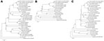 Thumbnail of Phylogenetic analysis of 3 segments of Toscana virus (TOSV) isolates from pools of sandflies collected in Tunisia and homologous sequences of other selected phleboviruses. A) Large segments; B) medium segments; C) small segments. Sequences are identified by virus name or acronym, strain name, and GenBank accession number. Scale bars indicate nucleotide substitutions per site. TEHV, Tehran virus; SFNV, sandfly fever Naples virus; PNQV, Punique virus; RVFV, Rift Valley fever virus; AR