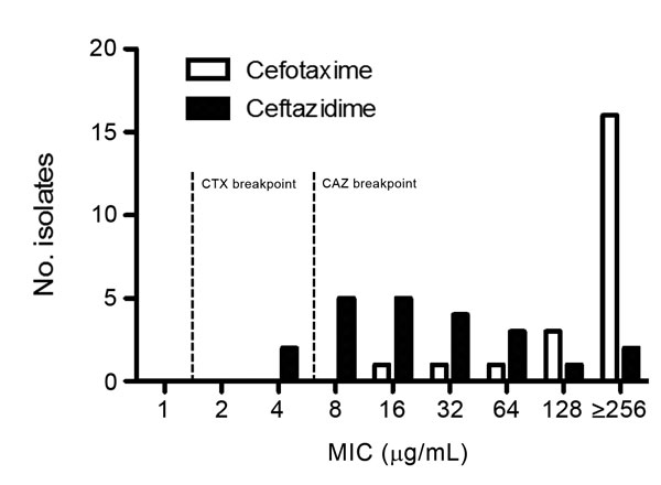 MIC distribution for cefotaxime (CTX) and ceftazidime (CFZ) in CTX-M extended-spectrum β-lactamase–producing Klebsiella pneumoniae clinical isolates from a tertiary care medical center, New York, New York, USA, 2005–2012 (n = 22). The MICs were determined by Etest.