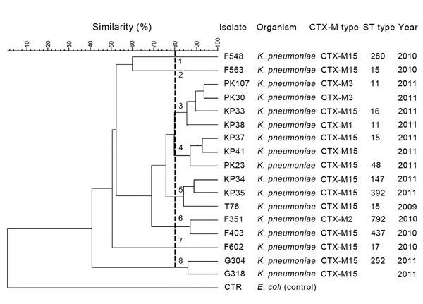 Dendrogram of pulsed-field gel electrophoresis (PFGE) patterns showing the genetic relatedness of CTX-M extended-spectrum β-lactamase (ESBL)–producing Klebsiella pneumoniae isolates from patients in suburban New York City (n = 17). Eight PFGE pulsetypes (PF1–8) were identified with ≥80% similarity, which is marked by the vertical line. The corresponding CTX-M genotype, sequence type (ST), if available, and year of isolation for each isolate are listed on the right side of the dendrogram.