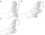 Thumbnail of Phylogenetic trees depicting virus sequences found in rodents from the villages of Jirandogo and Natorduori, Ghana. Lineages of Lassa virus clade are indicated by Roman numerals on the right. For each virus, phylogenetic trees are shown for 3 genes: 2a, glycoprotein  gene (partial 1,034 bp), 2b, nucleoprotein  gene (partial 1,297 bp), and 2c, Polymerase gene (L partial, 340 bp). The analysis was performed using PhyML (11), with a general time reversible  nucleotide substitution mode