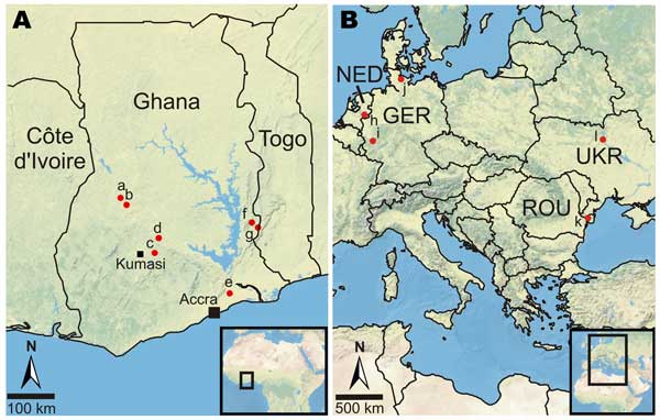 Location of bat sampling sites in Ghana and Europe. The 7 sites in Ghana (A) and the 5 areas in Europe (B) are marked with dots and numbered from west to east. a, Bouyem (N7°43′24.899′′ W1°59′16.501′′); b, Forikrom (N7°35′23.1′′ W1°52′30.299′′); c, Bobiri (N6°41′13.56′′ W1°20′38.94′′); d, Kwamang (N6°58′0.001′′ W1°16′0.001′′); e, Shai Hills (N5°55′44.4′′ E0°4′30′′); f, Akpafu Todzi (N7°15′43.099′′ E0°29′29.501′′); g, Likpe Todome (N7°9′50.198′′ E0°36′28.501′′); h, Province Gelderland, NED (N52°1