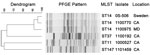 Thumbnail of Dendrogram showing pulsed-field gel electrophoresis (PFGE) analysis and multilocus sequence typing (MLST) results for New Delhi metallo-β-lactamase–producing Klebsiella pneumoniae isolates, United States, April 2009–March 2011. Isolates 0S-506 (13), 1100770, and 1100975 showed related PFGE patterns and were identified as MLST sequence type 14. PFGE and MLST results showed that other isolates were more diverse and unrelated to sequence type 14. Scale bar indicates % similarity. CA, C