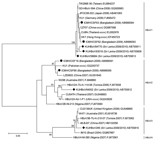 Phylogenetic tree of the partial VP 1/2 gene (nucleotide positions 3233–3808, amplicon size 575 bp) of HBoVs constructed by using nucleotide sequence by neighbor-joining method. The strain name is followed by country of origin and year of sample collection in parentheses, followed by the DDBJ/EMBL/GenBank accession no.; xxx indicates that the year of sample collection is undocumented. Sri Lanka and Bangladesh encephalitis-causing bocaviruses are indicated by circles and diamonds, respectively. T