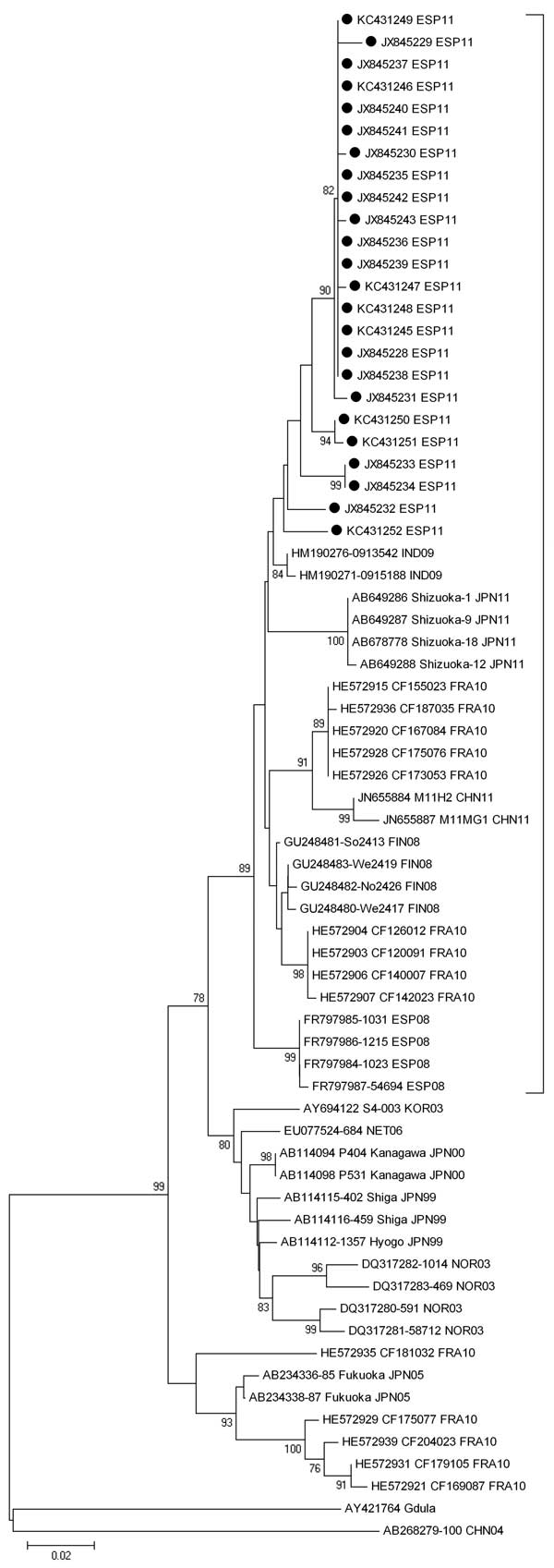 Phylogenetic analysis of the partial viral protein 1 gene sequence (positions 2929–3348, based on strain Shizuoka-18, GenBank accession no. AB678778) of coxsackievirus A6 isolated from distinct patients with hand, foot, and mouth disease detected in Irun, Spain, April–September 2011, compared with the Gdula prototype strain and other representative strains. Black dots indicate the strains in this study (GenBank accession nos. JX845228–JX845243 and KC431245–431253). The tree was constructed by us