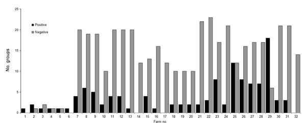 Number of influenza A virus–positive and of influenza A virus–negative groups, by farm, midwestern United States, June 2009–December 2011.