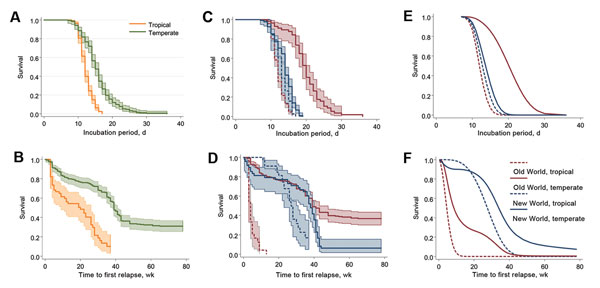 Various modeling estimates of incubation period and time to first relapse for Plasmodium vivax malaria in a study quantifying the effect of geographic location on the epidemiology of the infection. A) Kaplan-Meier estimates for incubation period, temperate/tropical strains. B) Kaplan-Meier estimates for time to first relapse, temperate/tropical strains (key in panel A). C) Kaplan-Meier estimates for incubation period, by region (key in panel F). D) Kaplan-Meier estimates for time to first relaps