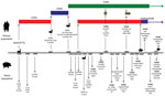 Thumbnail of Significant points in the history of influenza viruses that have contributed to the emergence of influenza A(H1N2) viruses in human and swine populations. The bird and swine symbols on the timeline indicate when transmission appeared to occur directly from either avian or swine source into the relevant population. The bird symbols on the 1957 and 1968 time-points indicate that the circulating viruses of the time reassorted with viruses of an avian source resulting in novel subtypes.