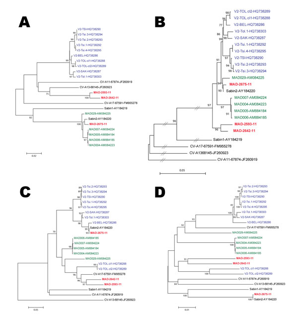 Phylogenetic trees showing genetic relationships between sequences of vaccine-derived poliovirus (VDPV) isolates. The trees are based on nucleotide sequence alignments of various subgenomic regions. Multiple sequence alignments were performed with CLC Main Workbench 5.7.2 software (CLC bio, Aarhus, Denmark). Phylograms were constructed with MEGA 4 (http://megasoftware.net/mega4/mega.html), using the Jukes-Cantor algorithm for genetic distance determination and the neighbor-joining method. The ro