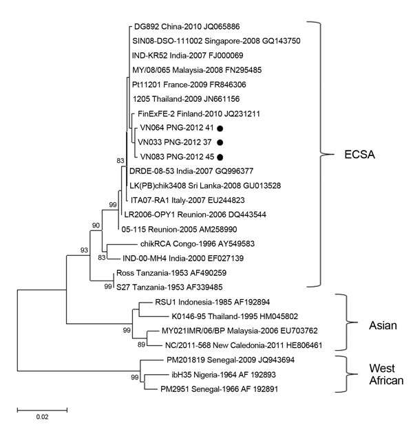 Phylogenetic analysis of a 924-nt fragment of partial envelope 1 glycoprotein gene sequences of chikungunya virus strains isolated in Vanino, Papua New Guinea (PNG) and global strains. The tree was constructed by using bootstrap analysis (1,000 replicates) and the neighbor-joining method with the Kimura 2-parameter method for nucleotide data analysis. Values along branches are bootstrap percentages. Black circles indicate strains isolated in this study. ECSA, East/Central South African. Scale ba