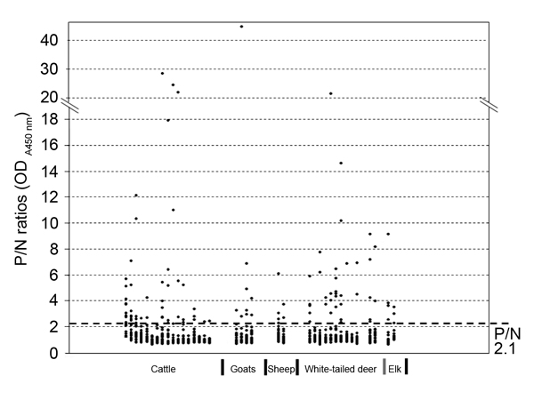 Distribution of positivity (P)/negativity (N) ratios among various animal species tested for antibodies against severe fever with thrombocytopenia syndrome virus nucleoprotein, Minnesota, USA, 2012. N = mean + 3 × SD of optical density (OD)450nm values of negative controls; P = OD450nm value of a test sample.
