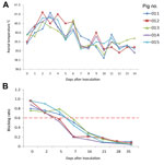 Thumbnail of Rectal temperatures and gE antibody levels of Bartha-K61–vaccinated pigs inoculated with pseudorabies virus strain HeN1. A) Rectal temperatures &gt;40.5°C were defined as fever and typically occurred 2–6 days after inoculation. B) Pseudorabies virus gE–specific antibody development was monitored by use of a gE ELISA and reported as blocking ratios; a ratio &lt;0.6 was considered positive.