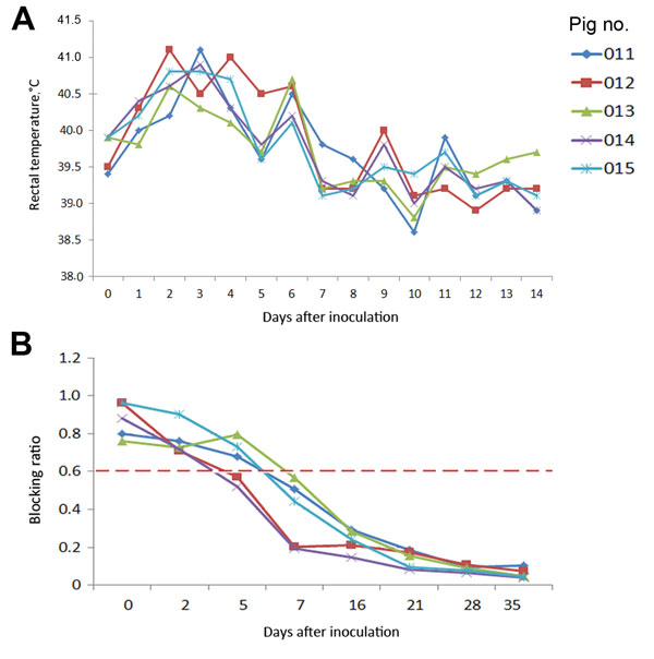 Rectal temperatures and gE antibody levels of Bartha-K61–vaccinated pigs inoculated with pseudorabies virus strain HeN1. A) Rectal temperatures &gt;40.5°C were defined as fever and typically occurred 2–6 days after inoculation. B) Pseudorabies virus gE–specific antibody development was monitored by use of a gE ELISA and reported as blocking ratios; a ratio &lt;0.6 was considered positive.