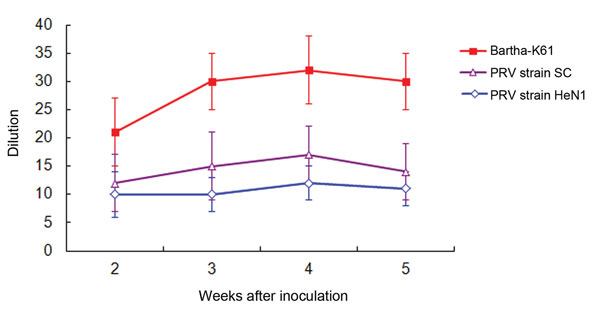 Neutralizing ability of antisera generated against pseudorabies Bartha-K61 vaccine to block wild pseudorabies virus strain infection. The neutralization titer to Bartha-K61 was 20- to 40-fold; the neutralization titers to pseudorabies virus SC and HeN1 strains were 10- to 15-fold and 10-fold, respectively. The virus neutralization assay was performed with antiserum from 5 individual piglets; error bars represent the standard deviation of the 5 experiments.